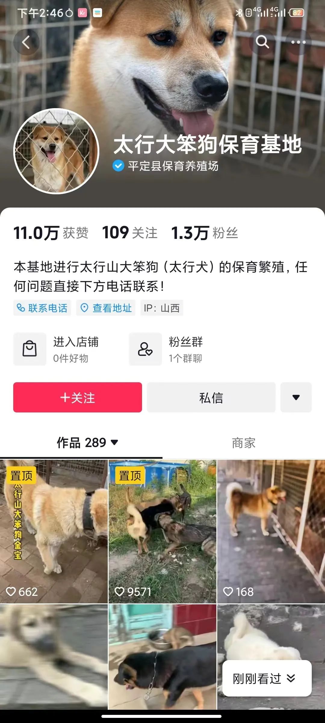 宠物市场的底层逻辑,关于宠物市场的市场分析