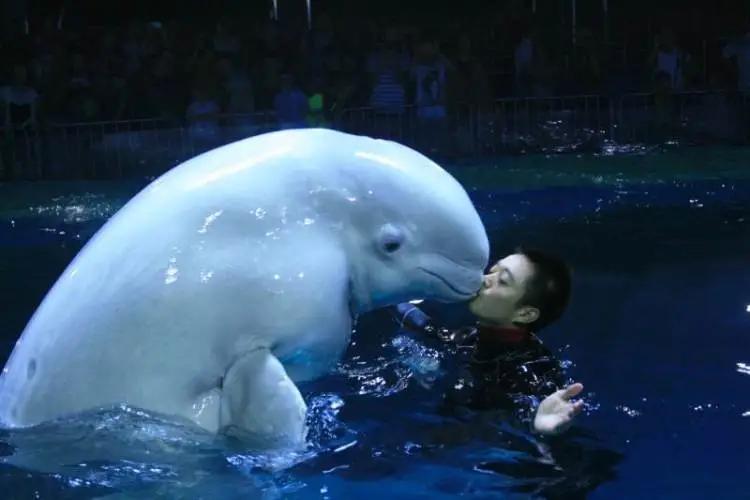 深圳小梅沙和海洋世界,深圳小梅沙海洋世界10年前