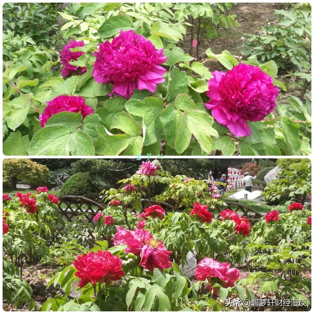 我在上海压马路④中山公园-苏州河华政-愚园路