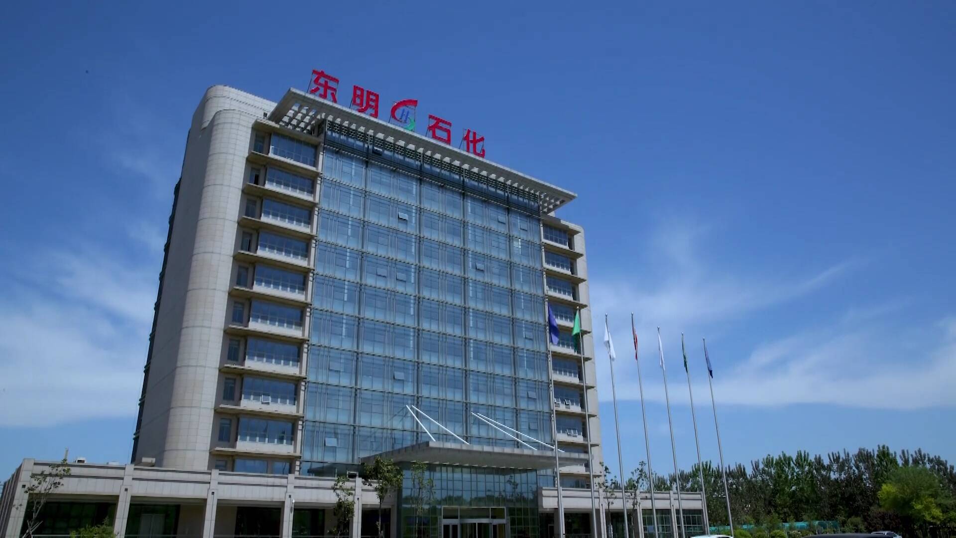 东明县石化集团有限公司,东明石化集团