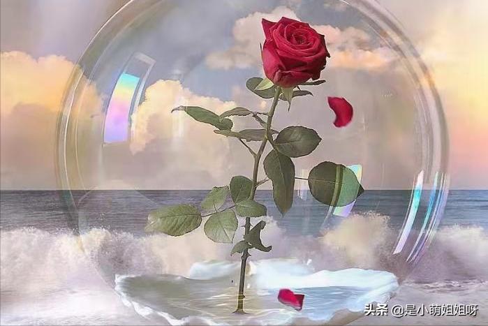 怎样才可以一夜涨粉到6000,如何3个月涨粉1000万