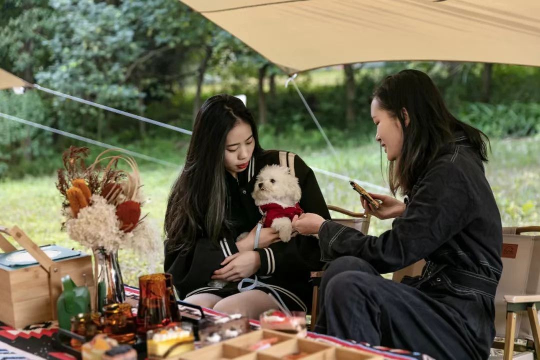 一拍即大片！广州东最新露营打卡地，99%广州人不知道！