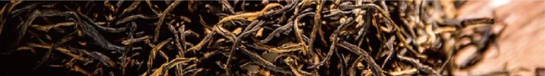 茶叶品牌slogan怎么写,茶叶品牌slogan