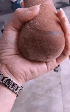 搞笑gif动图素材,搞笑gif动图哪里找素材