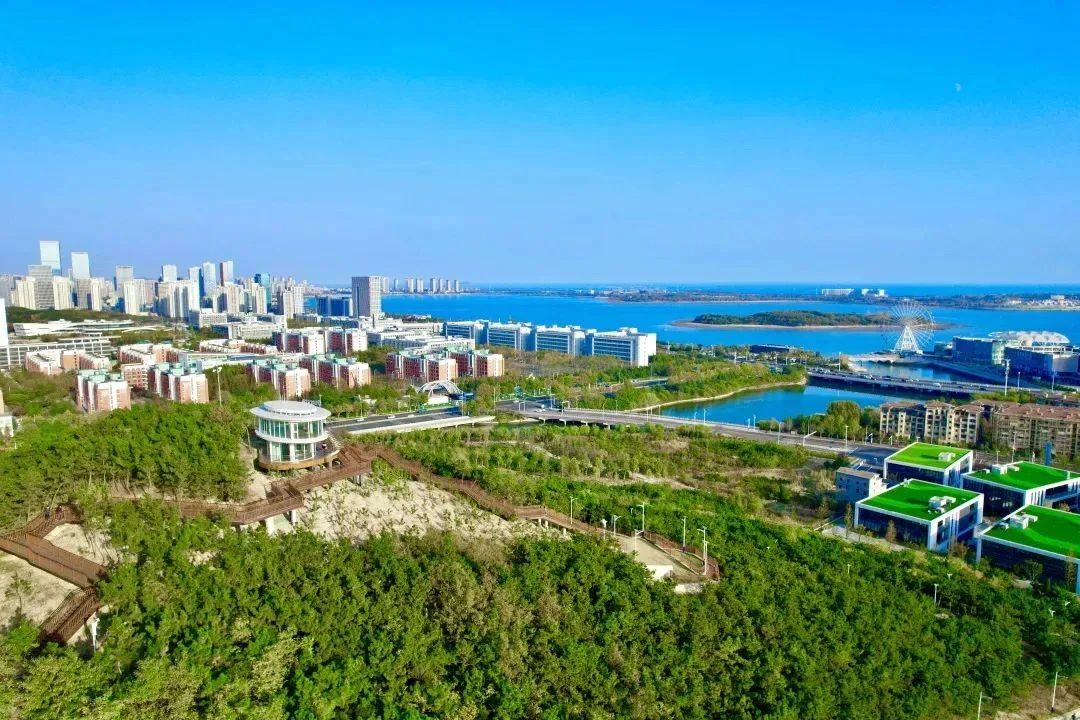 青岛楼市成交量暴涨,游客暴增