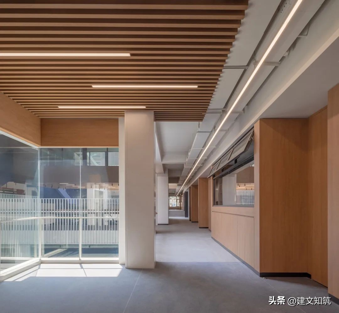 深圳市南山区丽林维育学校学费,丽林维育学校深圳