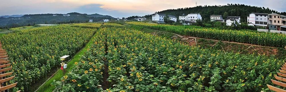 五一广元周边一日游,广元旅游3-4天攻略最佳线路