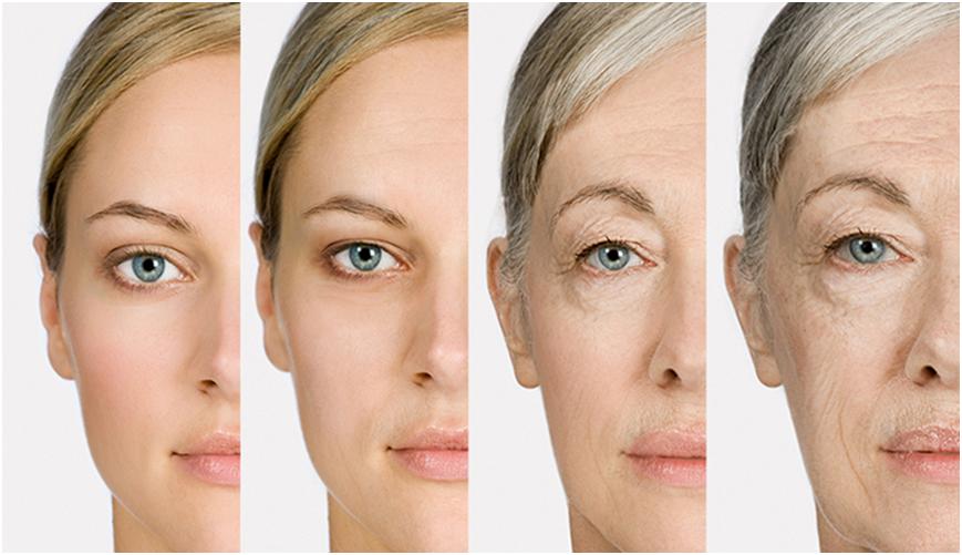 2024年老龄化社会的商机在哪里,人口老龄化给企业带来了什么商机