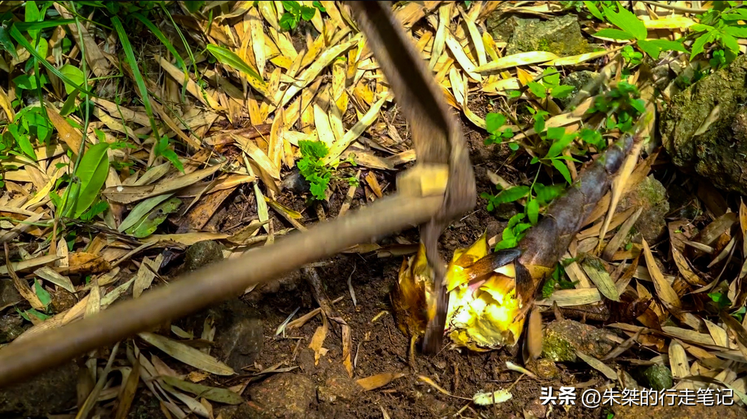 碧瑶山庄安吉口碑农家乐推荐,安吉碧瑶山庄农家乐3天2晚多少钱