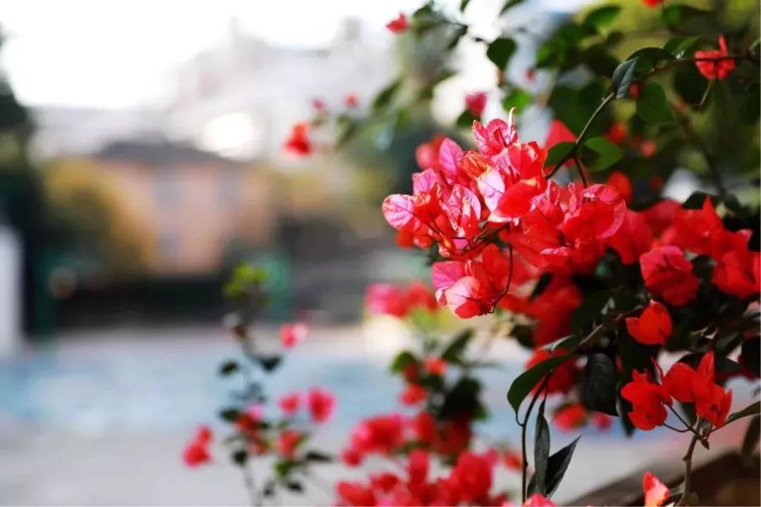 背靠师大、底蕴深厚，时代中学值得了解！