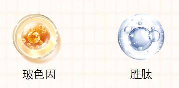 四川肽美,四川肽美生物科技有限公司怎么样