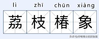 床上小颗粒是什么虫卵,墙上有虫卵很小颗粒