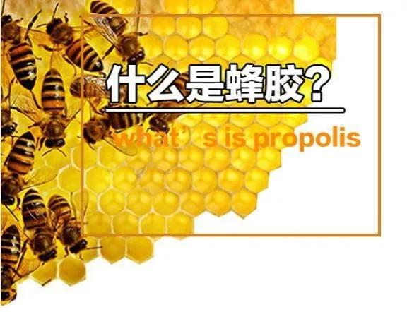 酒制蜂胶上火吗,酒制蜂胶适用人群