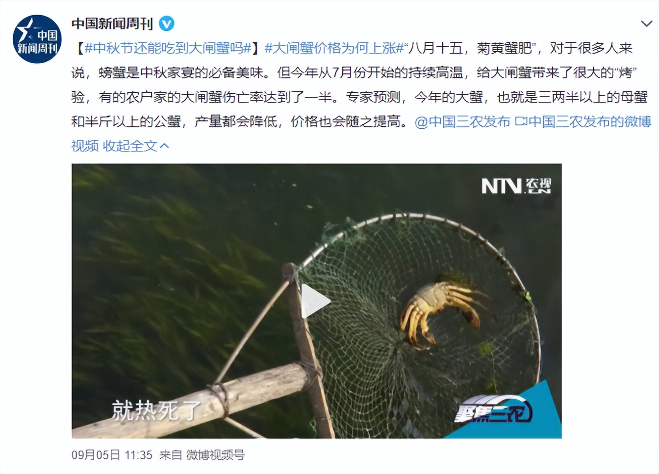 螃蟹买回来死掉了还能吃吗,死螃蟹用高温处理后可以吃吗