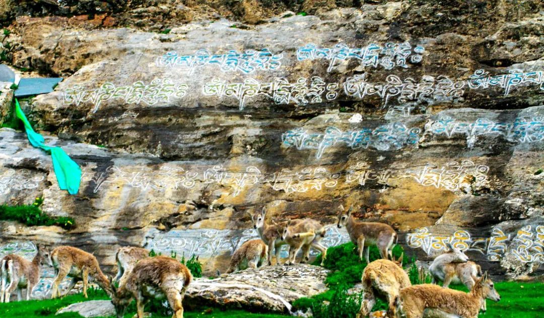青海省天峻县旅游景区,青海天峻县有什么风景区吗