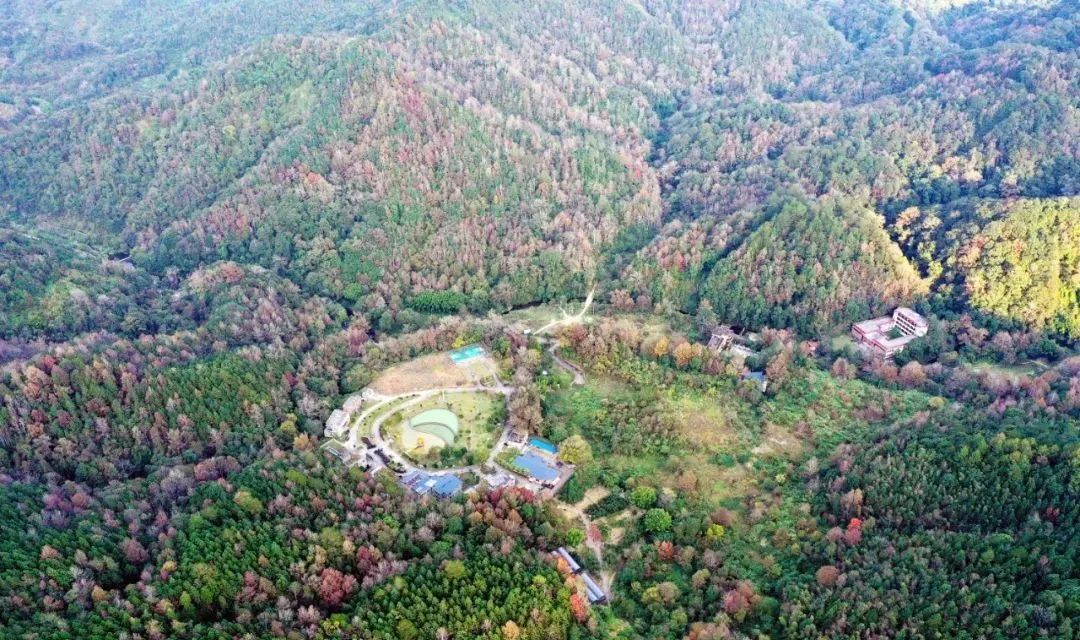 letsgo一周目攻略,letsgo图鉴攻略