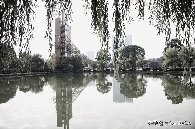 杭州电子科技大学毕业生就业统计,杭州电子科技大学本科生就业前景
