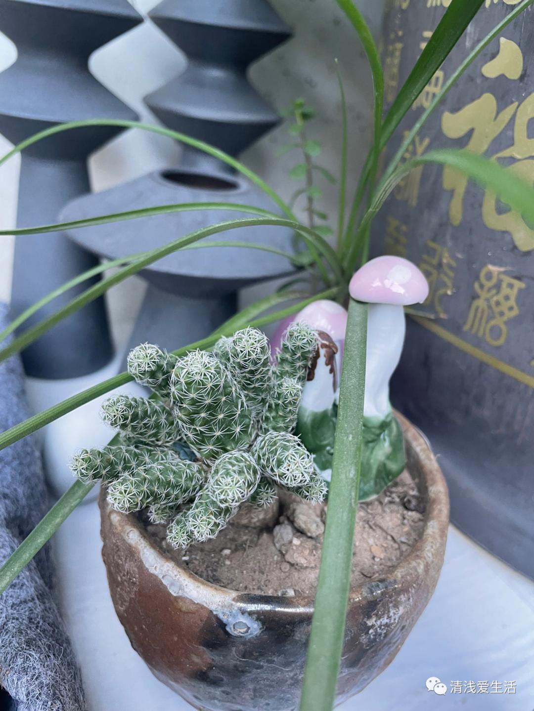 景德镇六大陶瓷市场,聊聊景德镇陶瓷市场