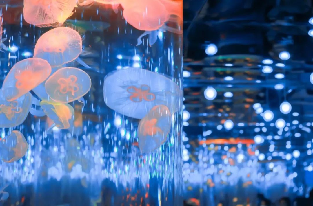 10元游温州景区,10元游温州