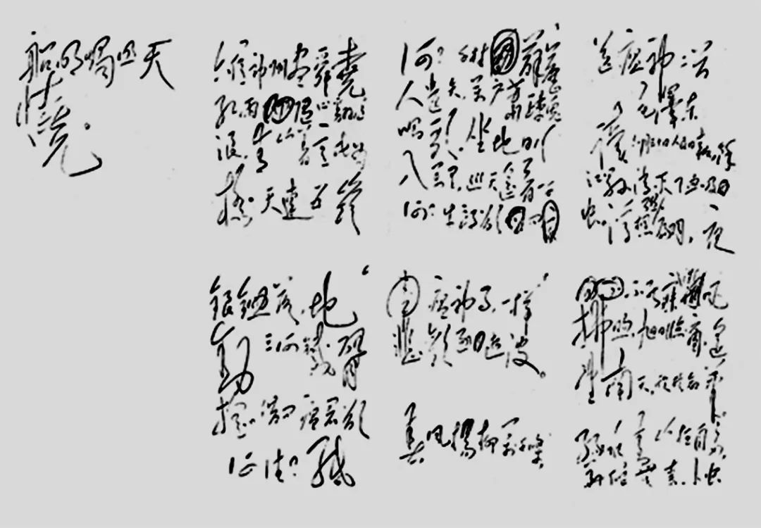 张兴德：毛*东泽**连夜赋诗《送瘟神》急于第二天发表，背后有何深意