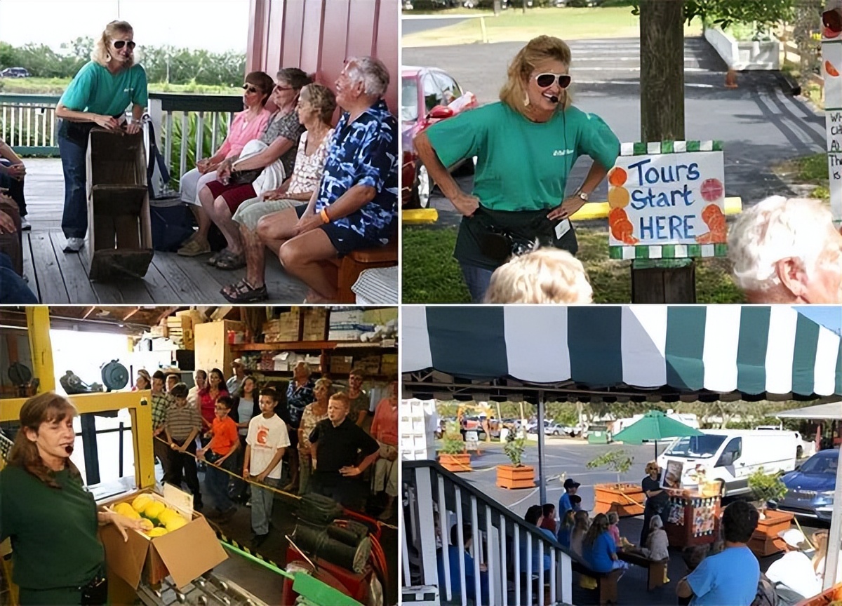 种植型家庭农场经营模式,新农田柑橘种植家庭农场