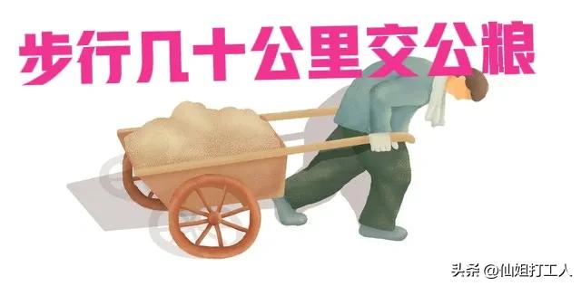 交过公粮的农民何时领到养老金,交过公粮的农民怎么领取养老金