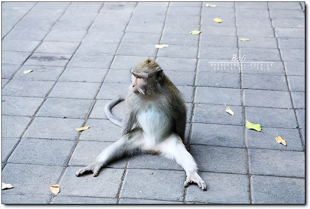 古人的跪坐的好处,古人跪坐不难受吗