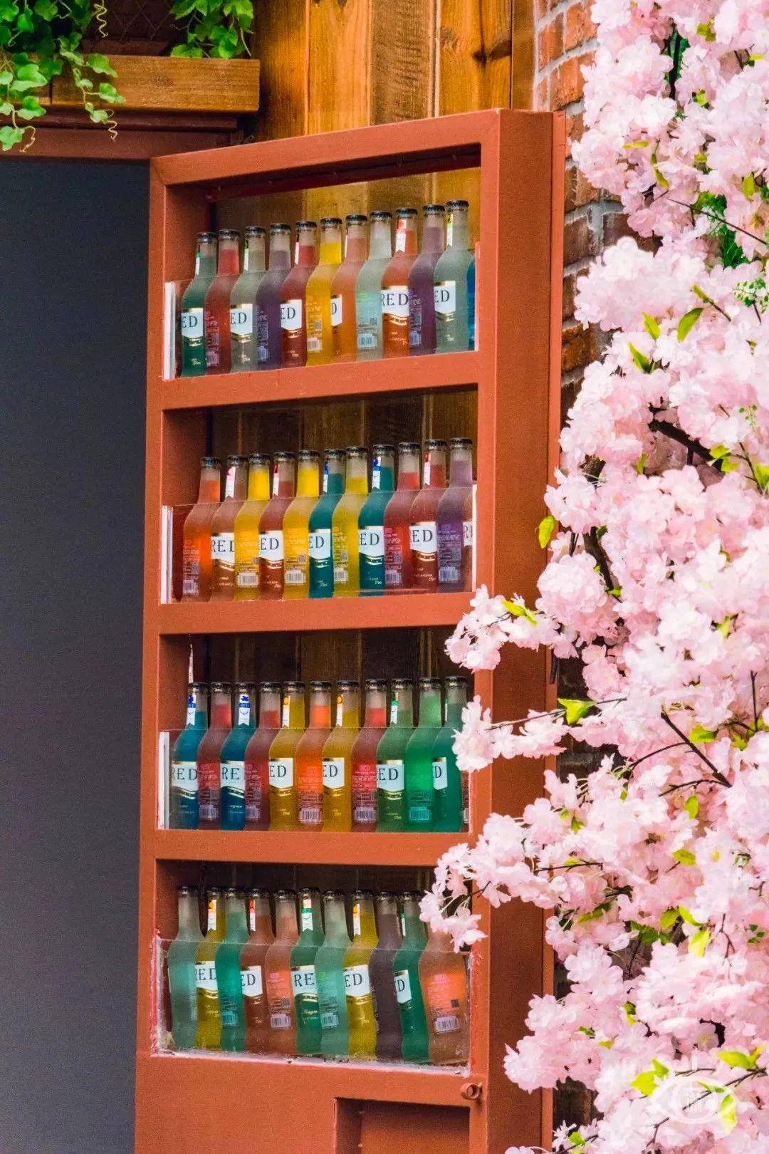 深圳最好玩的十个地方,深圳光明小镇欢乐田园好玩吗