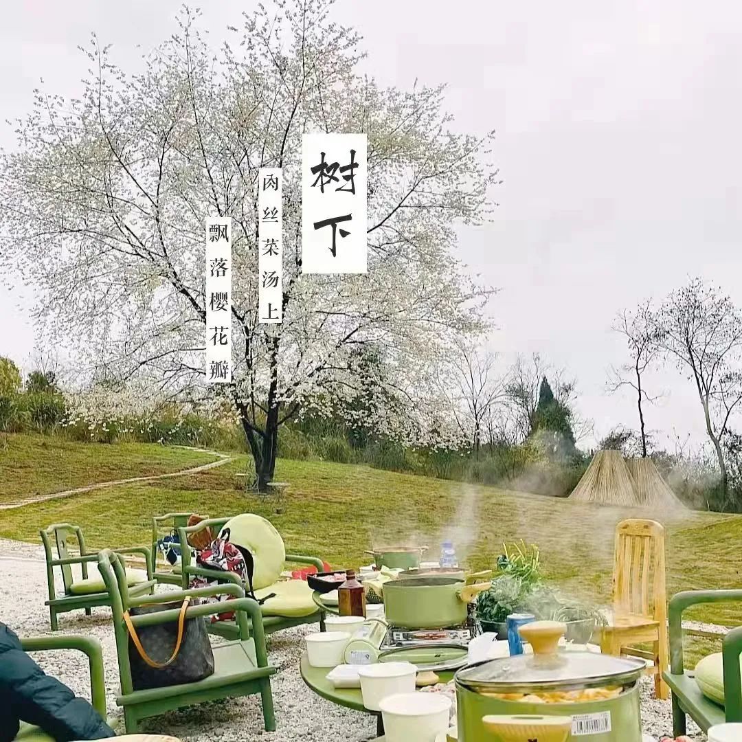 成都周边赏花烧烤一日游推荐免费,成都赏樱花露营