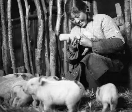 北大荒知青生活叙事诗——北大荒“游击词”100篇