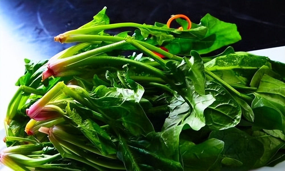 哪些食物对眼睛恢复视力有帮助,视力降低了吃什么食物能改善