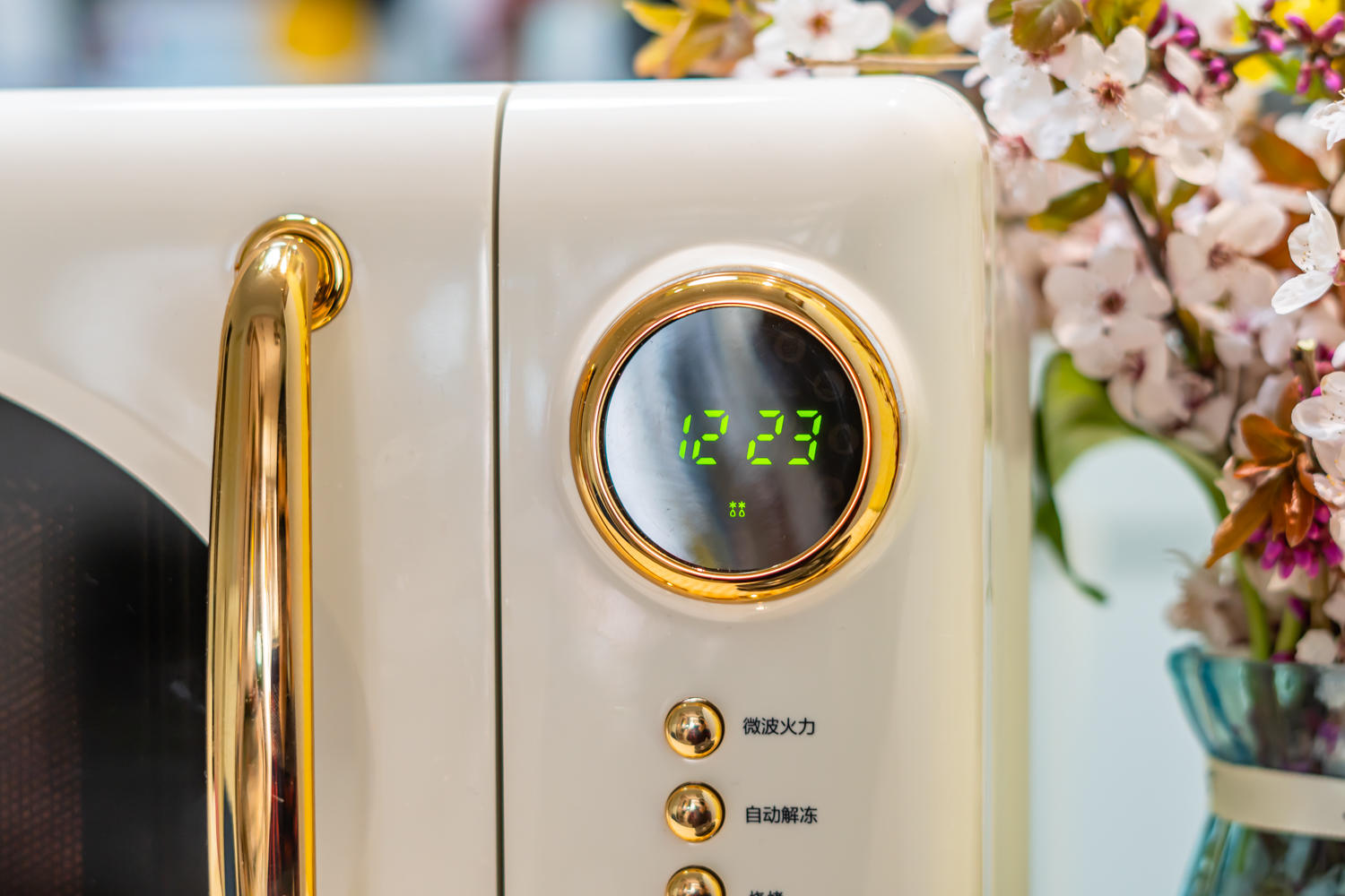 大宇微波炉微烤一体,微烤一体微波炉专用烤盘