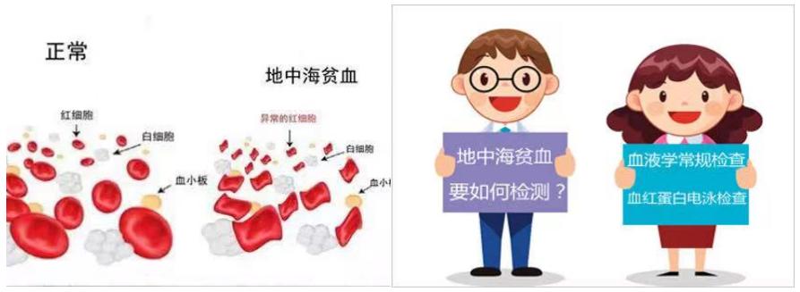 一文看懂波尔多,一文读懂血气分析