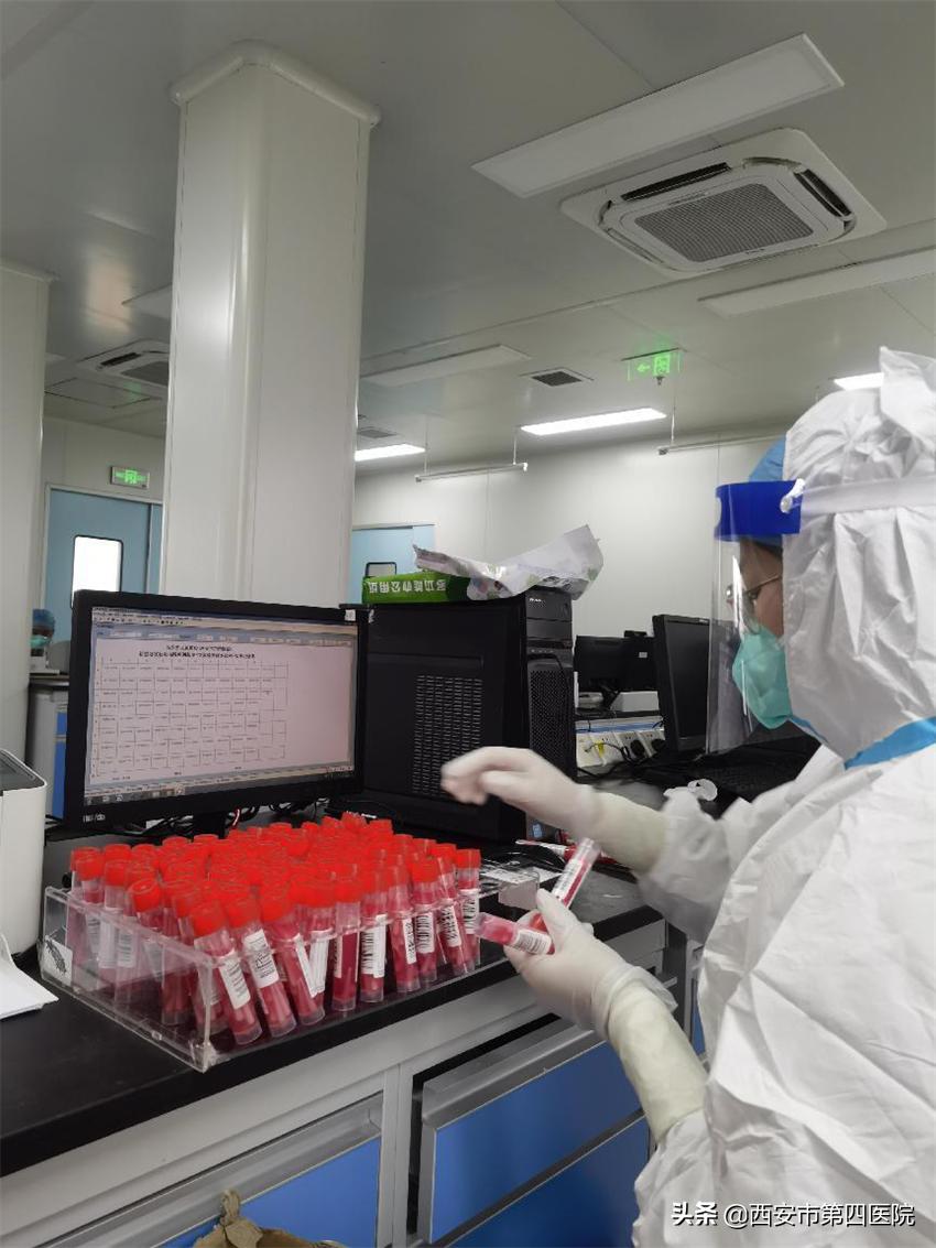 健康中国全民抗疫,秦岭四宝抗疫