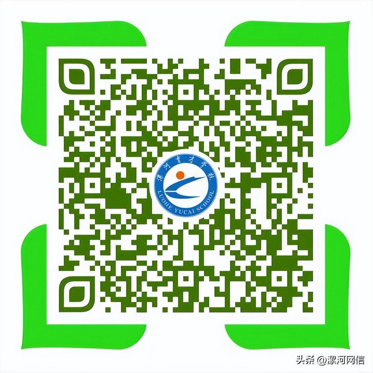 漯河学校不准提前开学,漯河教育最新通知