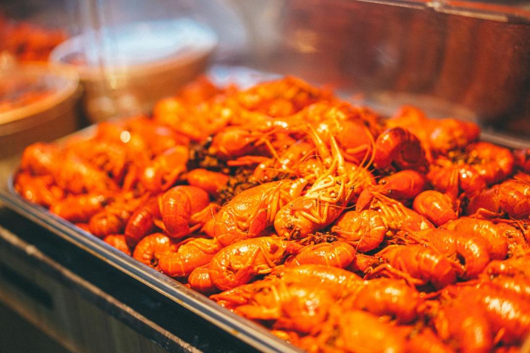 2022歇马夜市如约开市，唤起沈城新活力