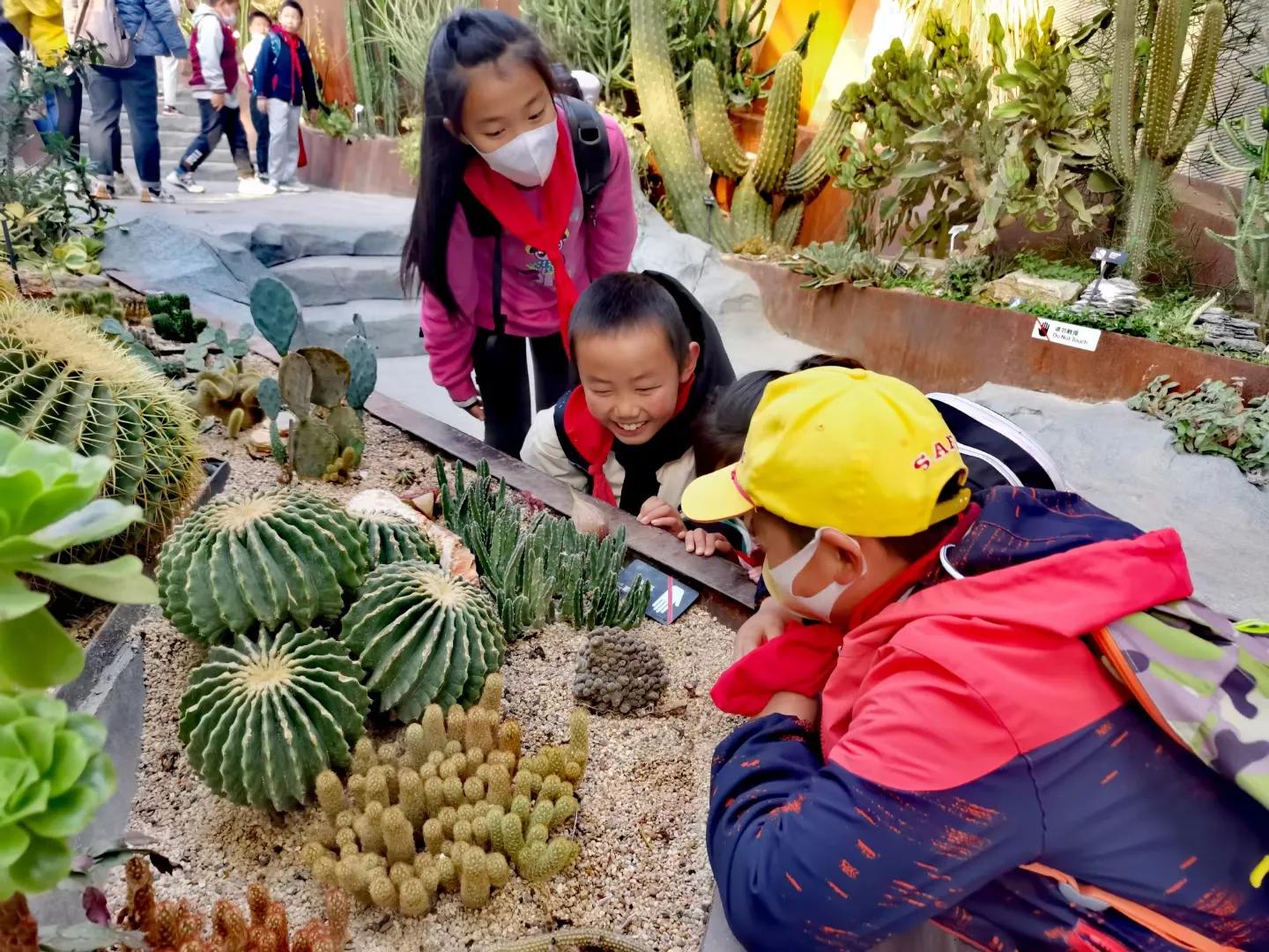 小孩的成长环境对孩子的影响,生活和学习环境影响孩子成长成语