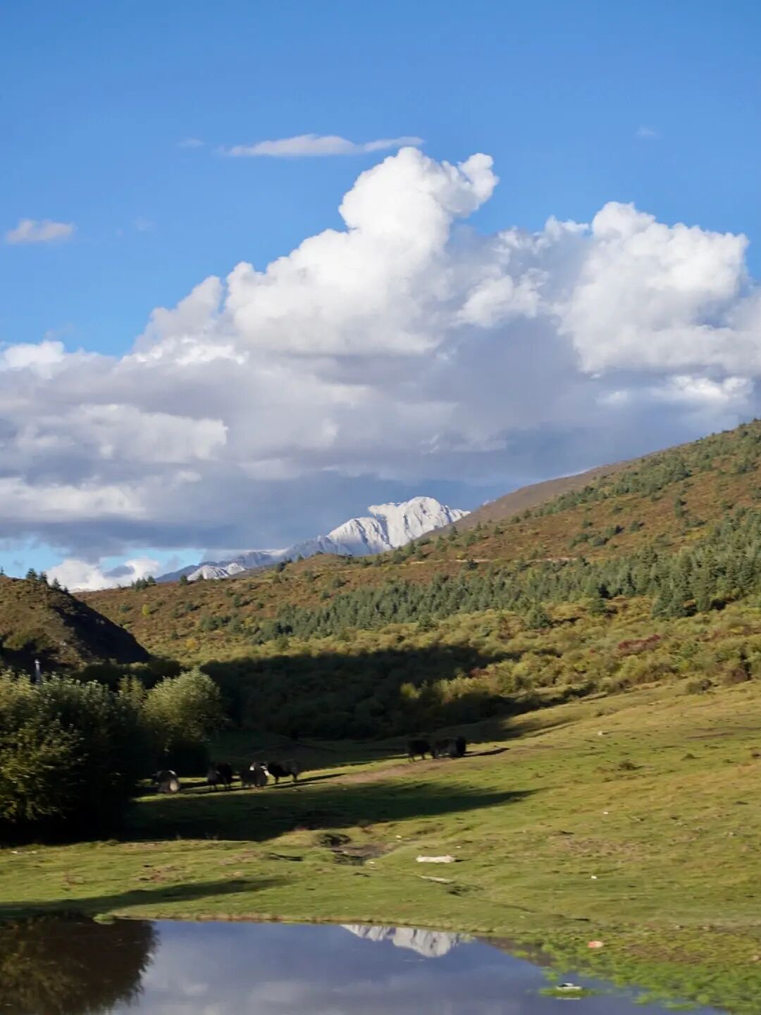 成都秋天一天游最佳地方,成都周边一日游自驾秋天
