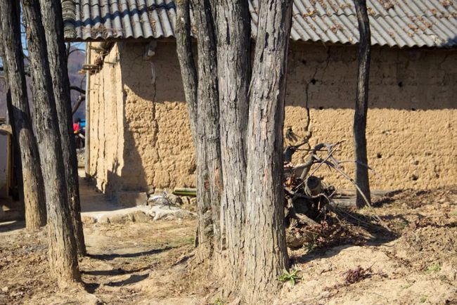 镇安海棠山山顶村子,秦岭关中深山最真实的老房子