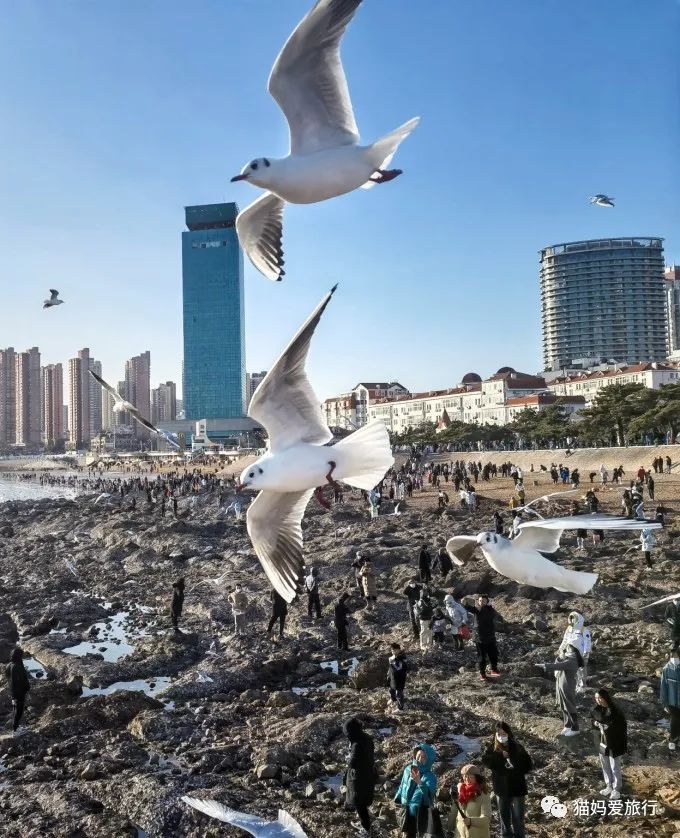 5天“趣”玩青岛，我的私藏遛娃路线