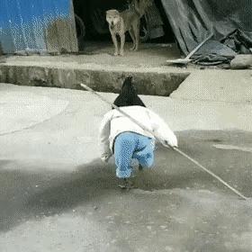 昨晚上喝多了把这个扛回了家，现在酒醒了，我该怎么办？