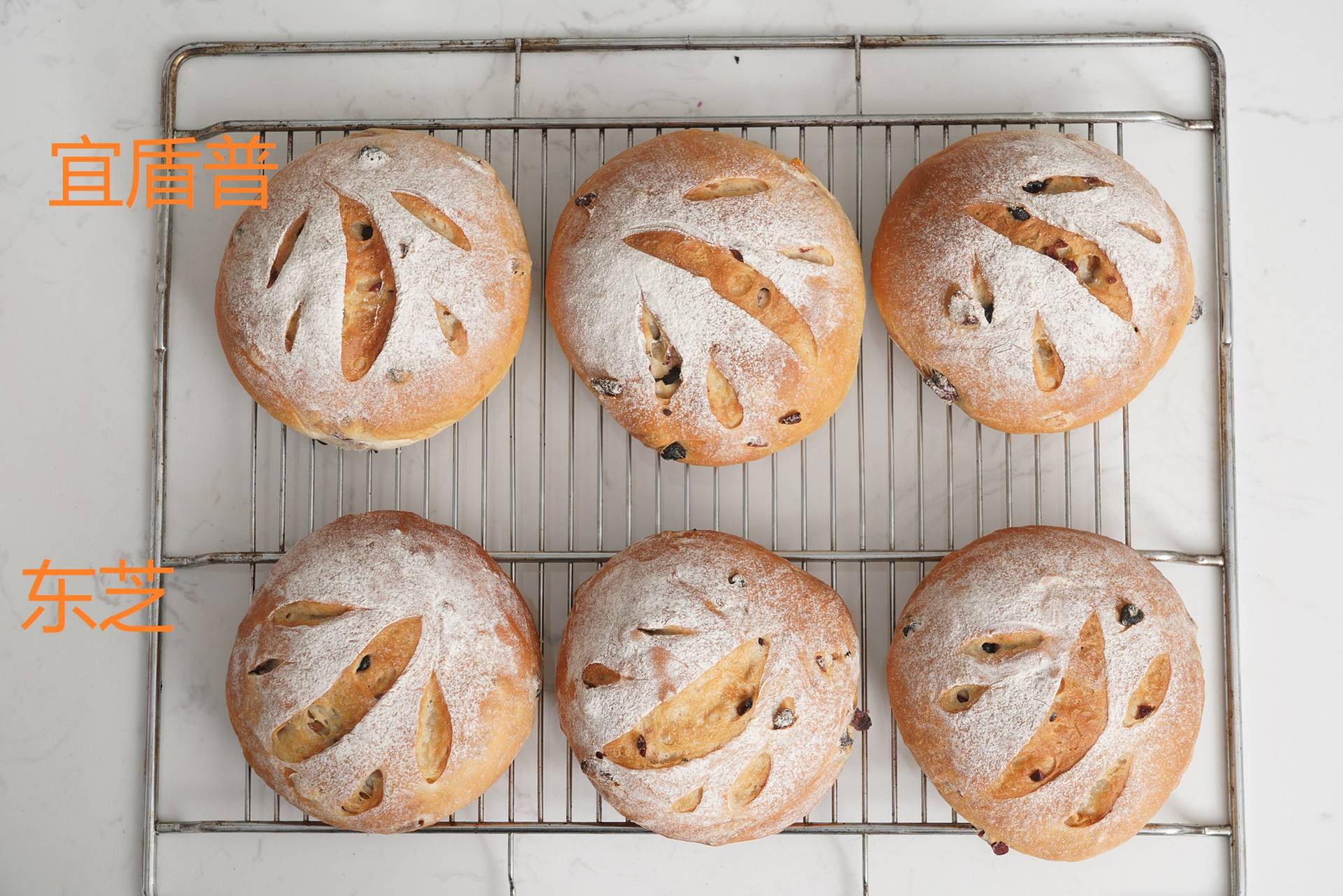 东芝烤箱水波炉怎么样,东芝水波炉和蒸烤箱哪个更好