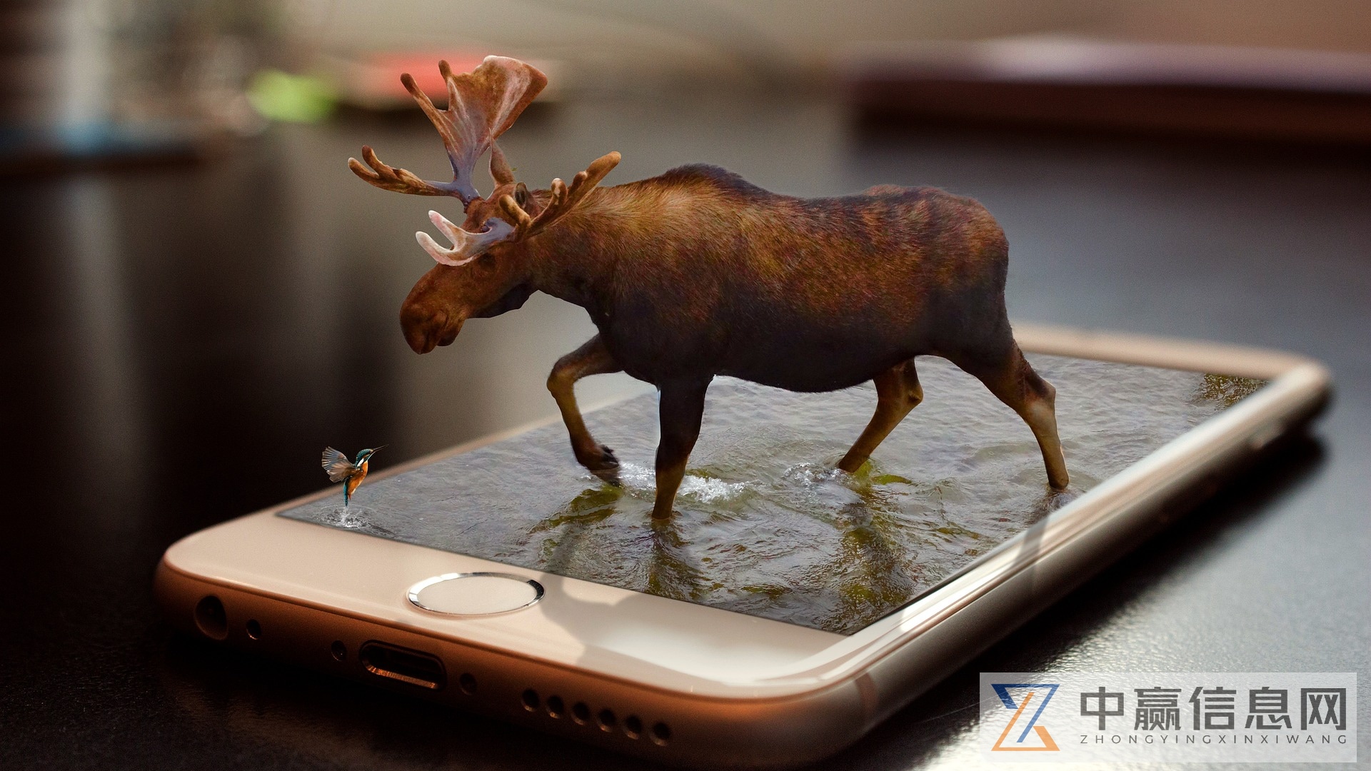 2023年中国大数据产业发展情况,公安大数据应用前景