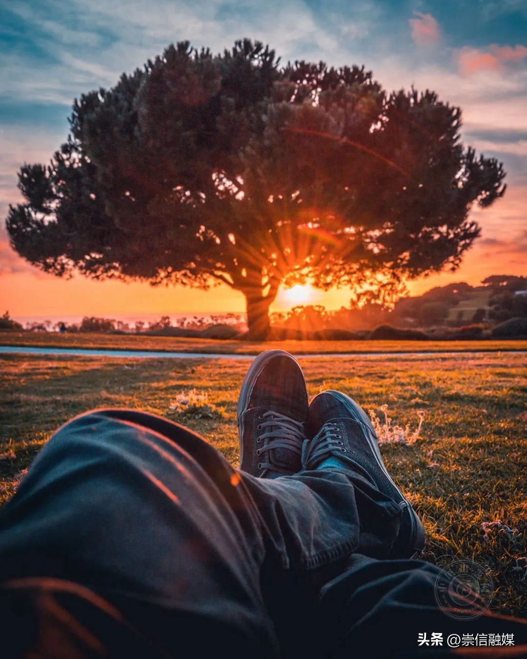 教你十种简单构图拍摄技巧,运用构图技巧拍摄短视频