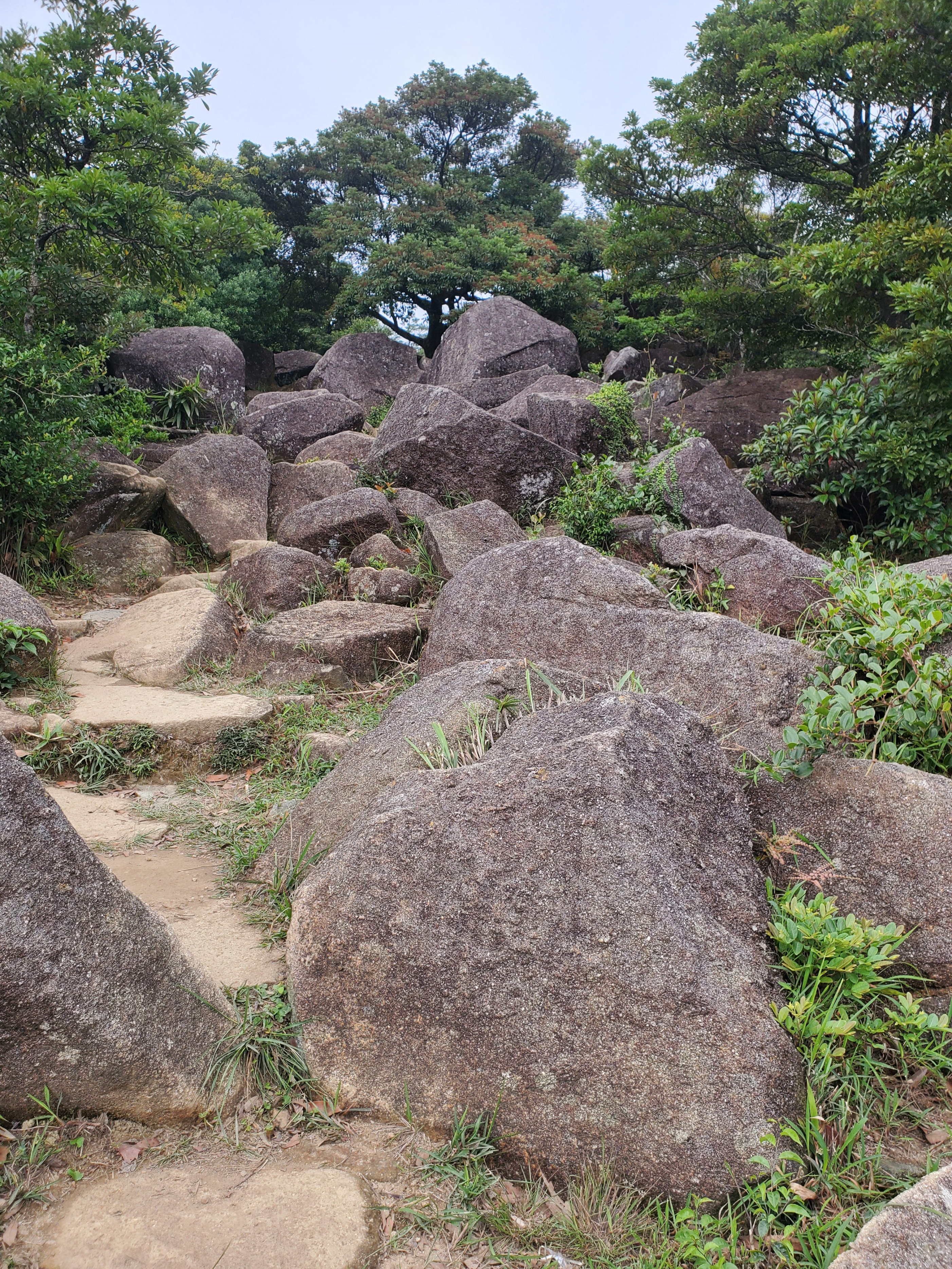 徒步香港大帽山,香港麦径徒步攻略