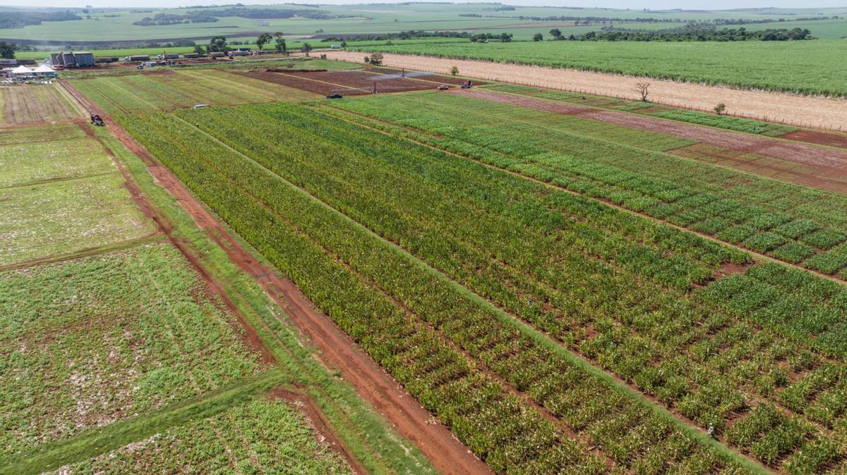 被美国退订单,美国对中国退玉米订单的反应