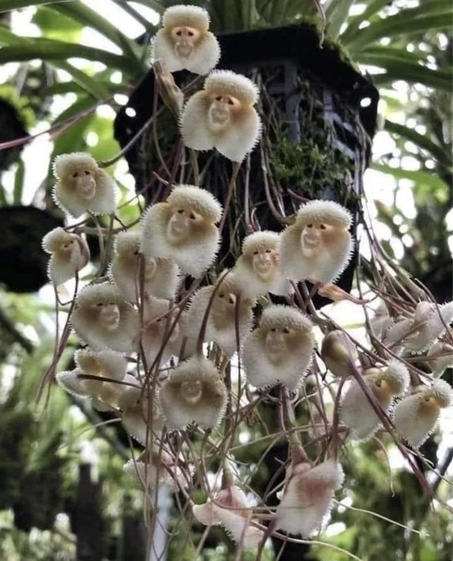 缇庡浗濂充汉閫夌編鍥剧墖,缇庡浗濂充汉鏈嶈姣旇禌