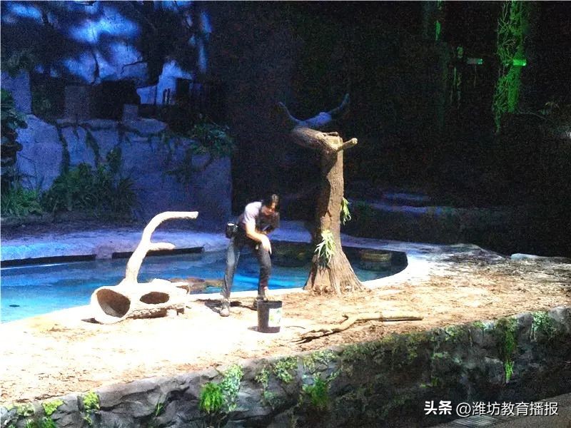 潍坊中新双语好进吗,潍坊中新双语校园