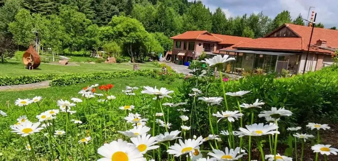 白山市出发五一2-3天短途旅游推荐,冬季白山周边一日游景点大全