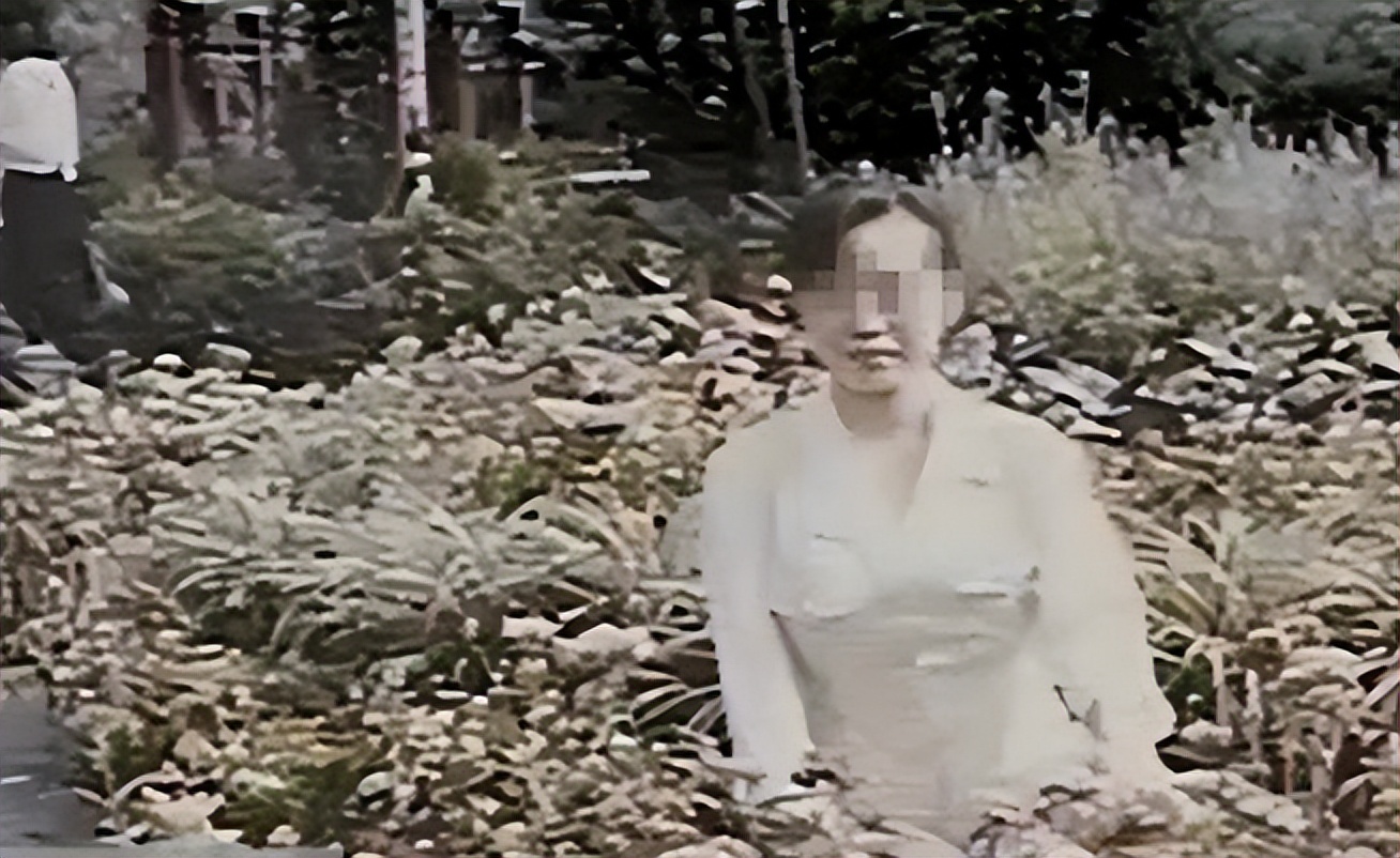 小树林里的神秘女尸案件聚焦,小树林的女尸案